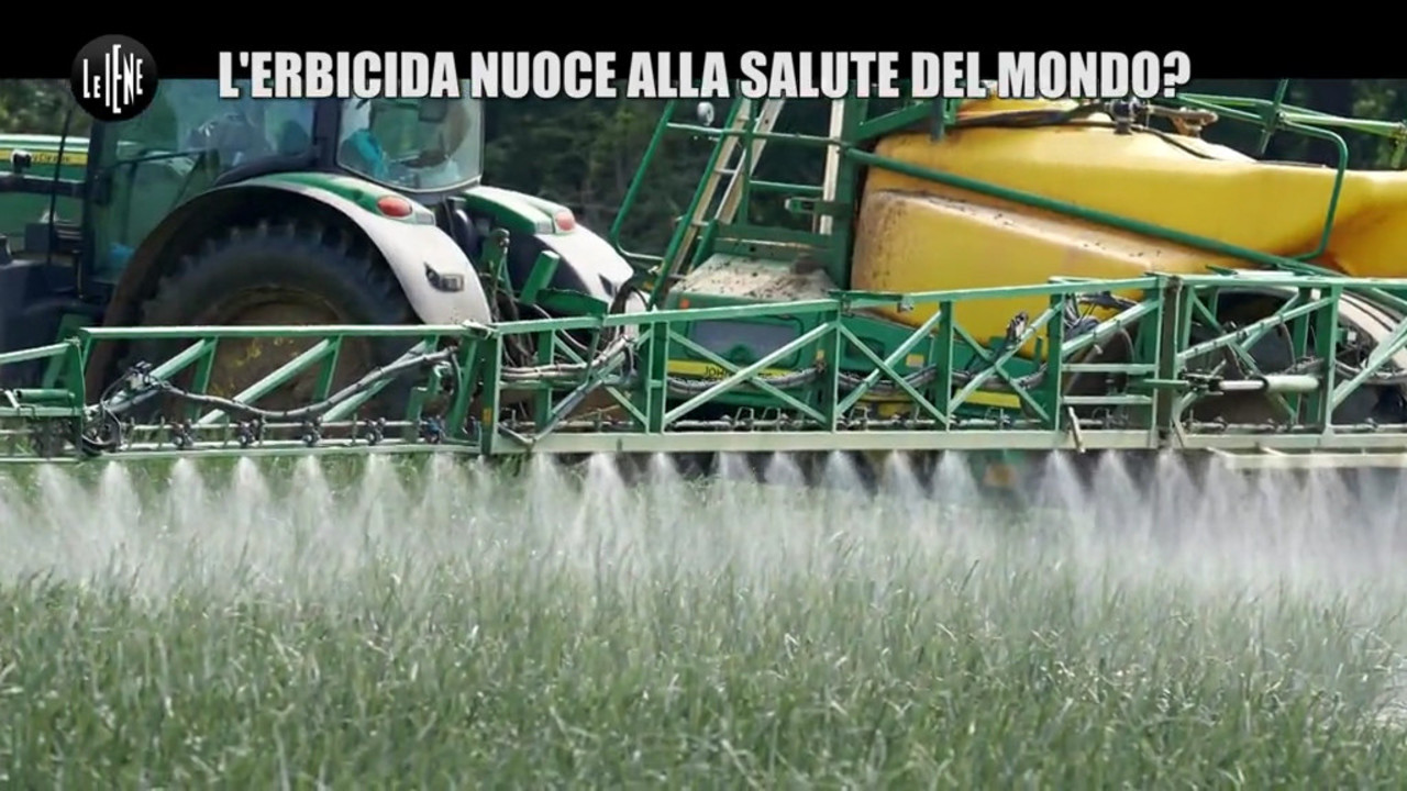 glifosato diserbante Monsanto erbicida ogm danni inchieste Iene foto