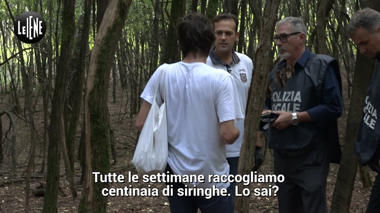 bosco droga parco groane foto