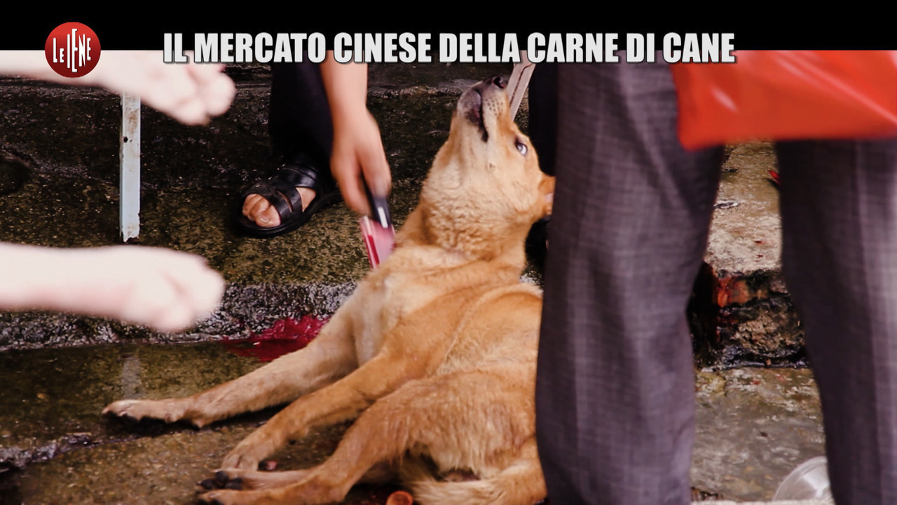 colpo di lavoro e bistecca giorno