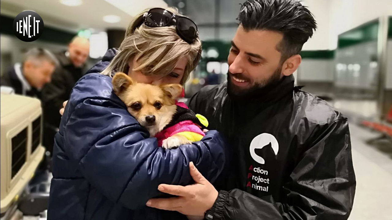 foto cani carne cina yulin