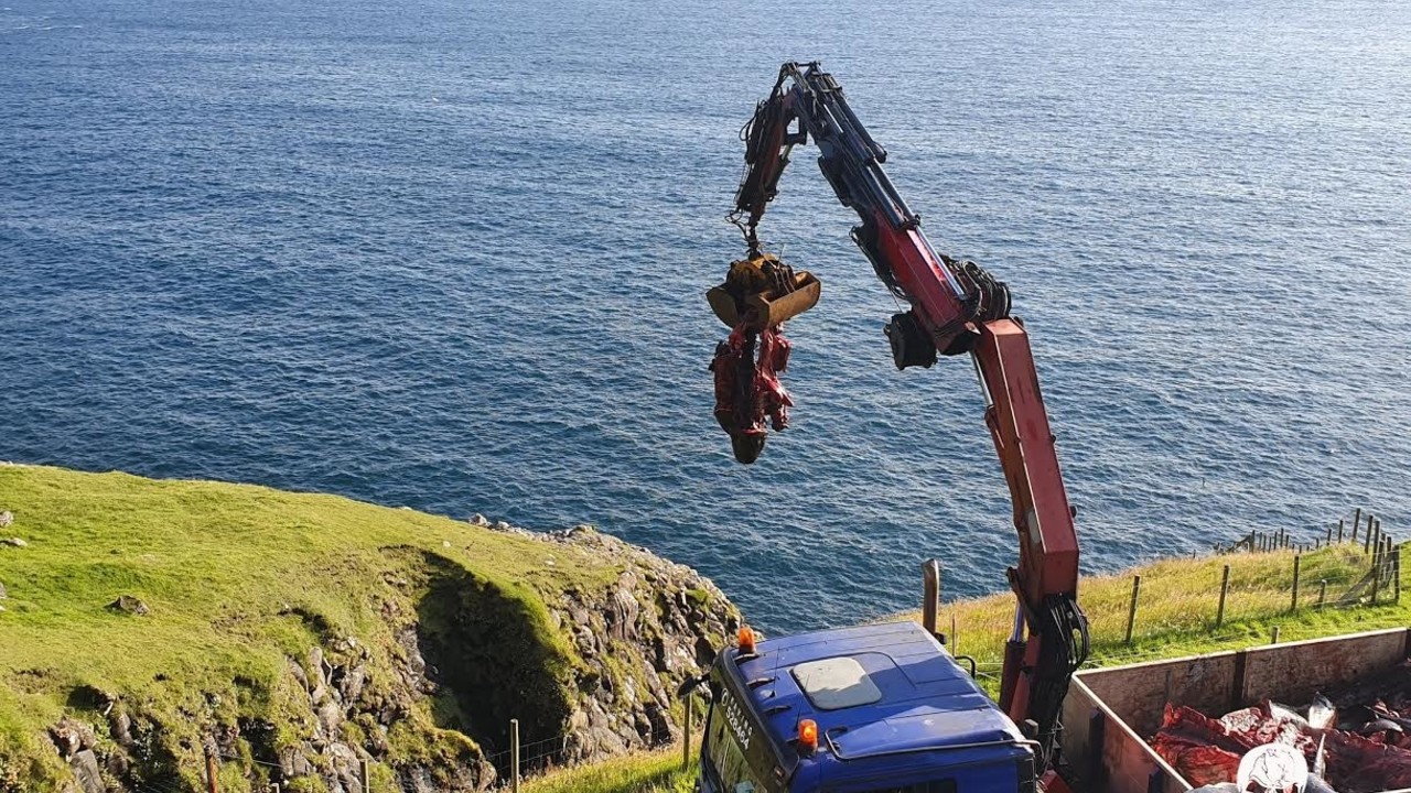 caccia balene europa sea shepherd