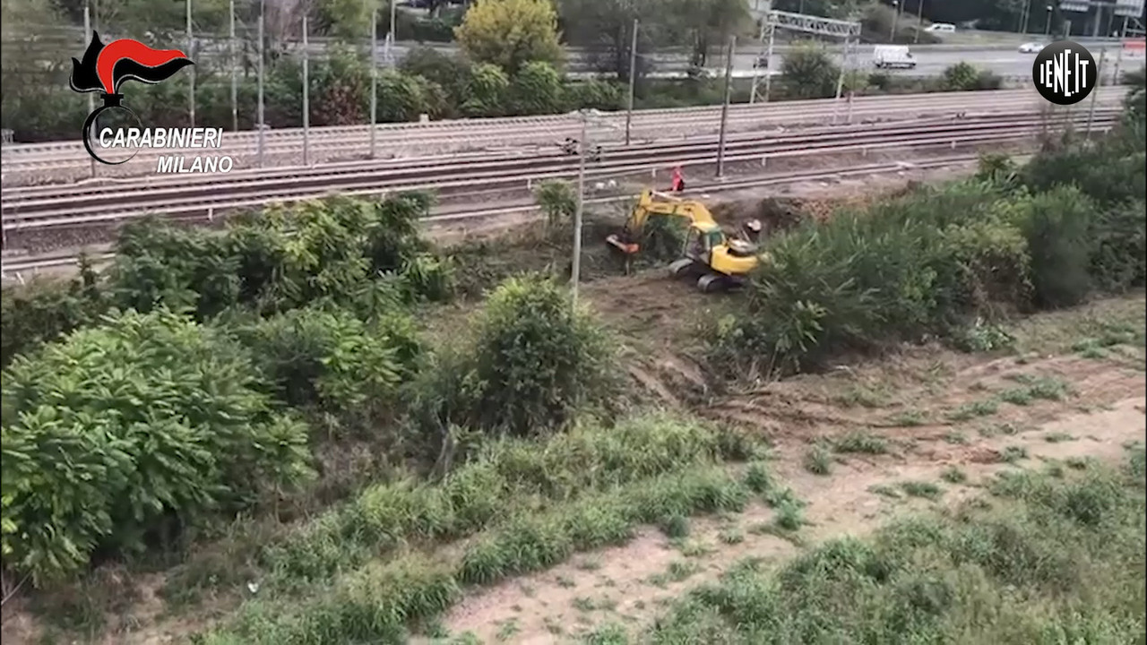 Il blitz dei carabinieri nel boschetto della droga di San Donato Milanese