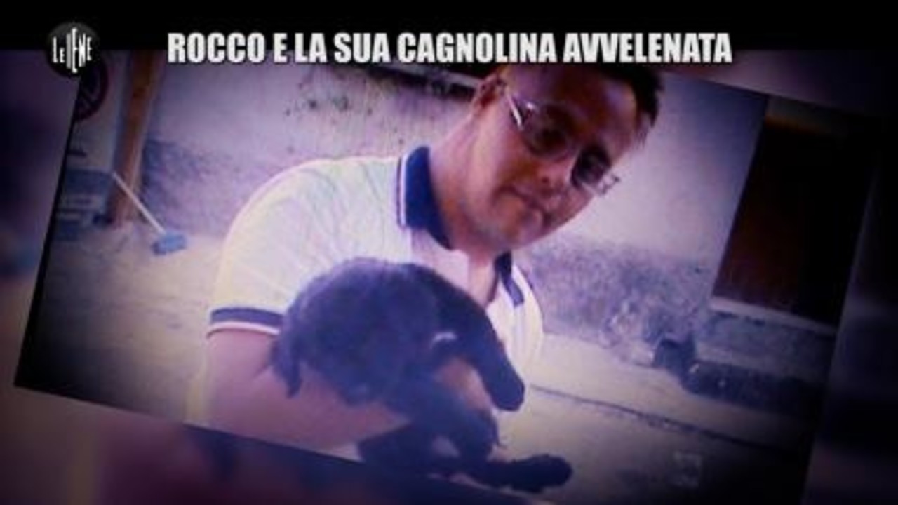 NINA: Rocco e la sua cagnolina avvelenata