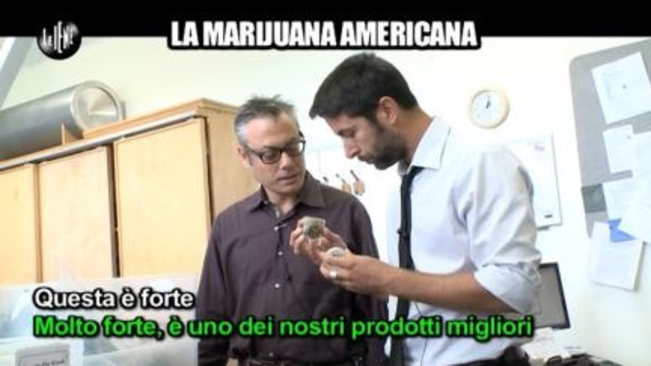 TRINCIA: La marijuana americana