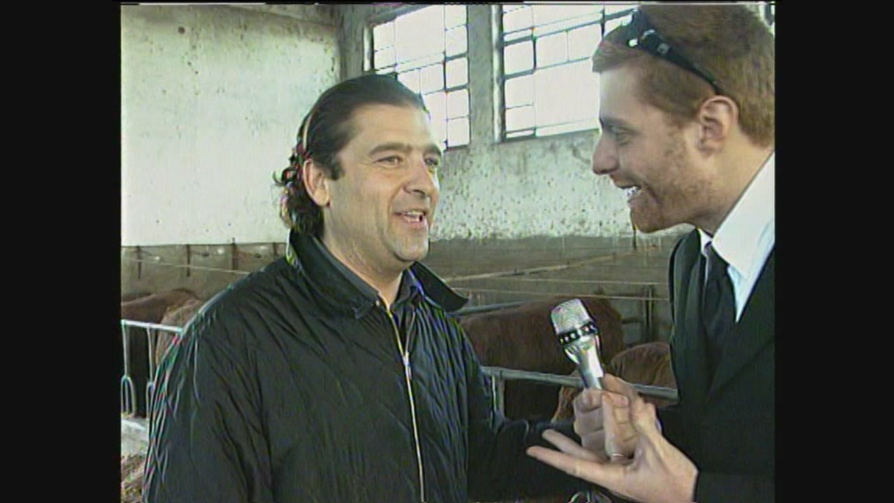 mucca pazza allevamento