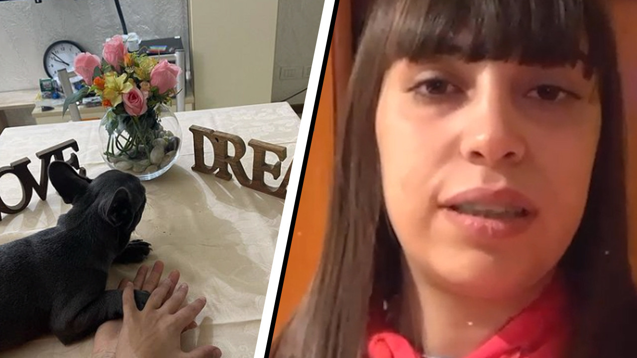 Ragazza Lesbica Cacciata Di Casa Dai Genitori