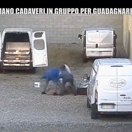 cremazioni biella denunce famiglie 