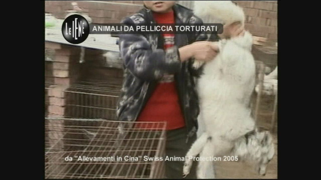 Animali da pellicce in Cina