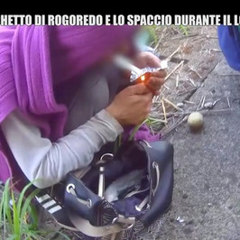 Covid droga boschi spaccio milano 