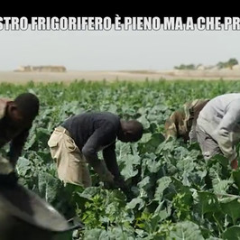 braccianti morti puglia divieto campi