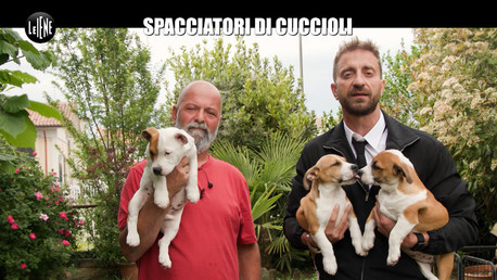 Spacciatori di cuccioli