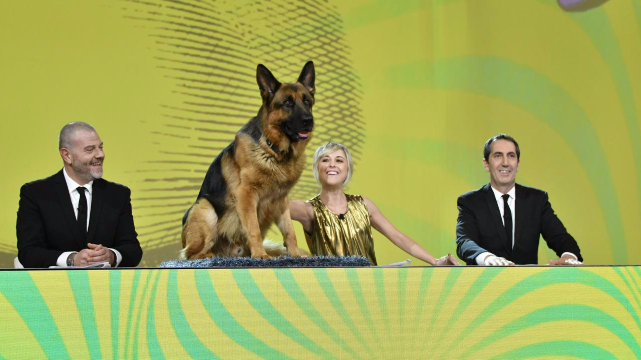 Puntata di domenica 21 maggio 2017