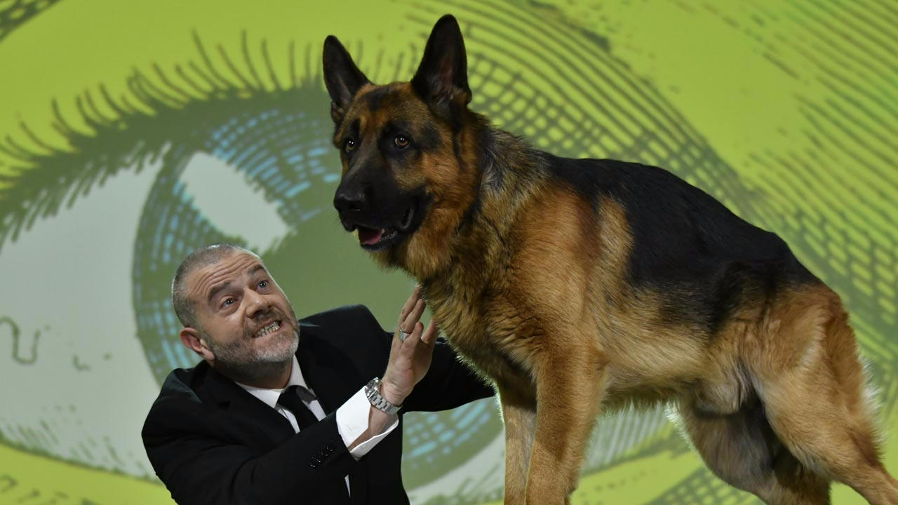 Puntata di domenica 21 maggio 2017